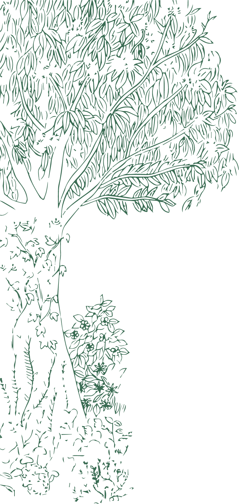 Yoroz木のイラスト